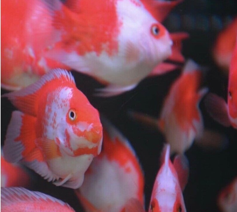 Screenshot_2025-10-31-00-20-19-240_com.google.android.googlequicksearchbox-edit