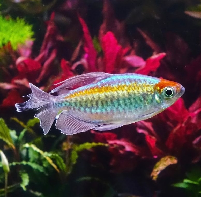 Screenshot_2025-10-31-01-05-58-347_com.google.android.googlequicksearchbox-edit