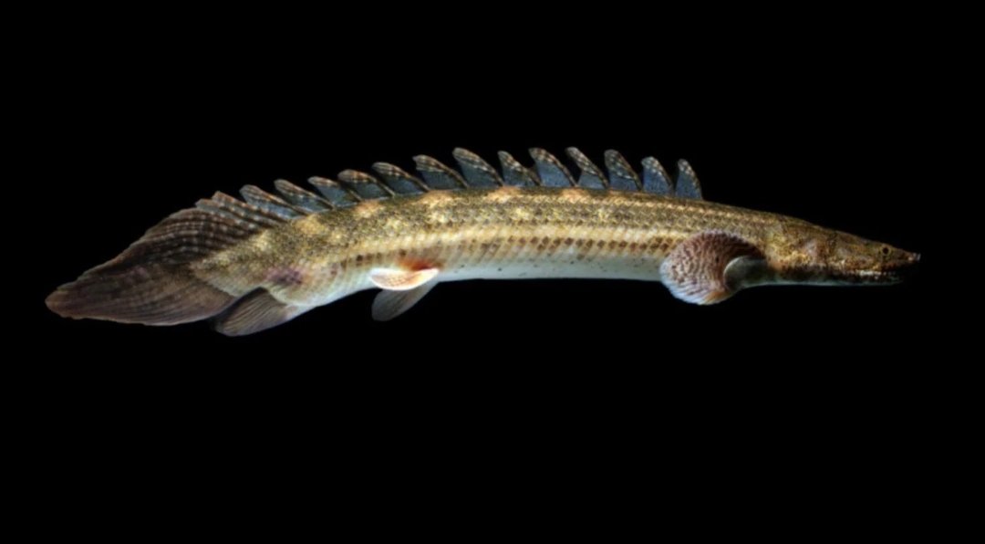 Screenshot_2025-10-31-01-19-51-598_com.google.android.googlequicksearchbox-edit