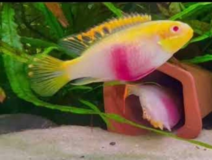 Screenshot_2025-10-31-01-30-36-853_com.google.android.googlequicksearchbox-edit