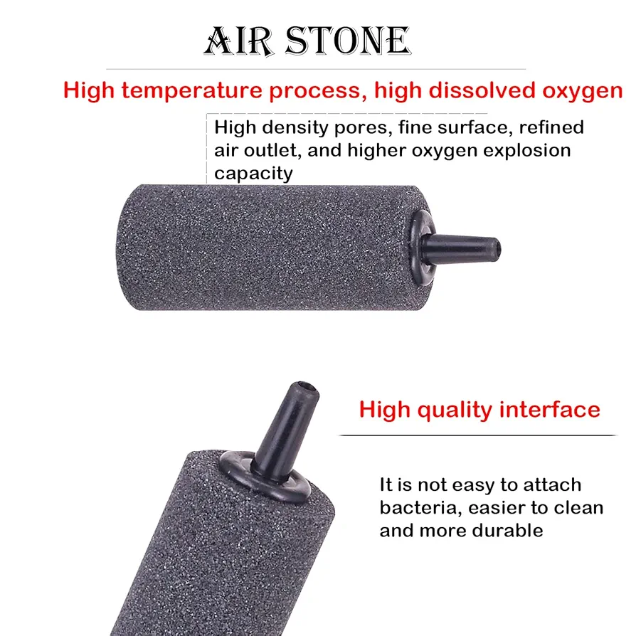 71aDcPyGWUL._UF8941000_QL80_FMwebp_