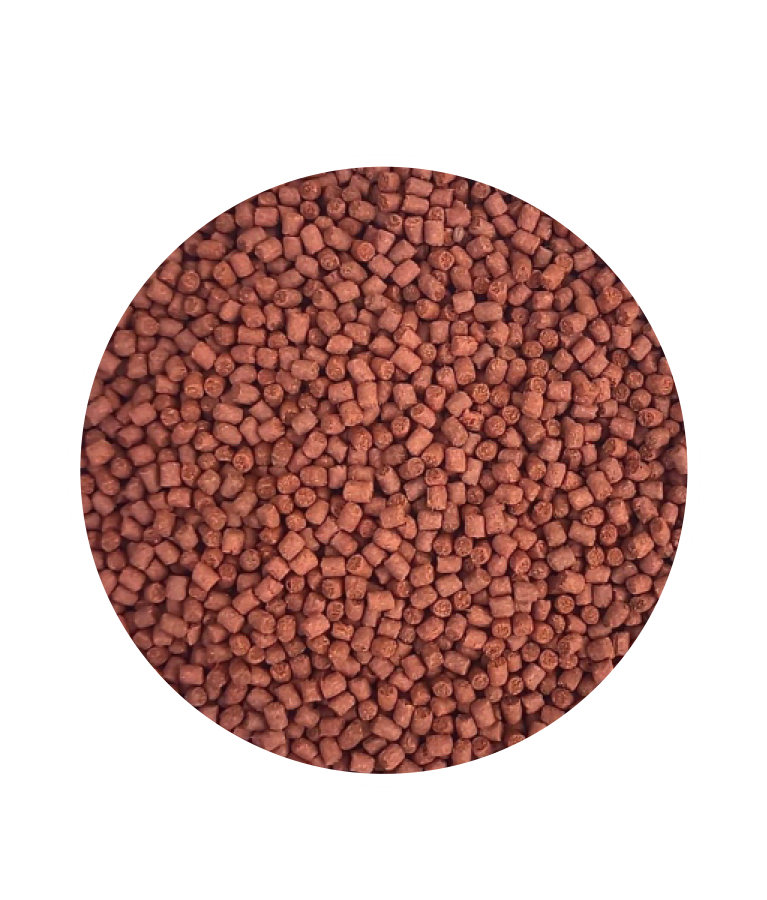 artemia-pellets-f
