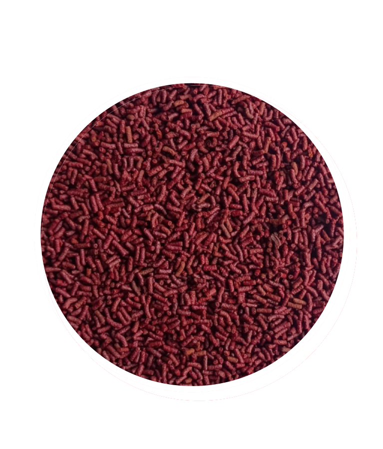 bloodworm-sticks-f