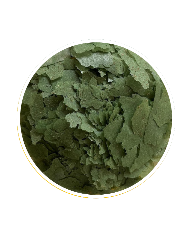 spirulina-flake-f