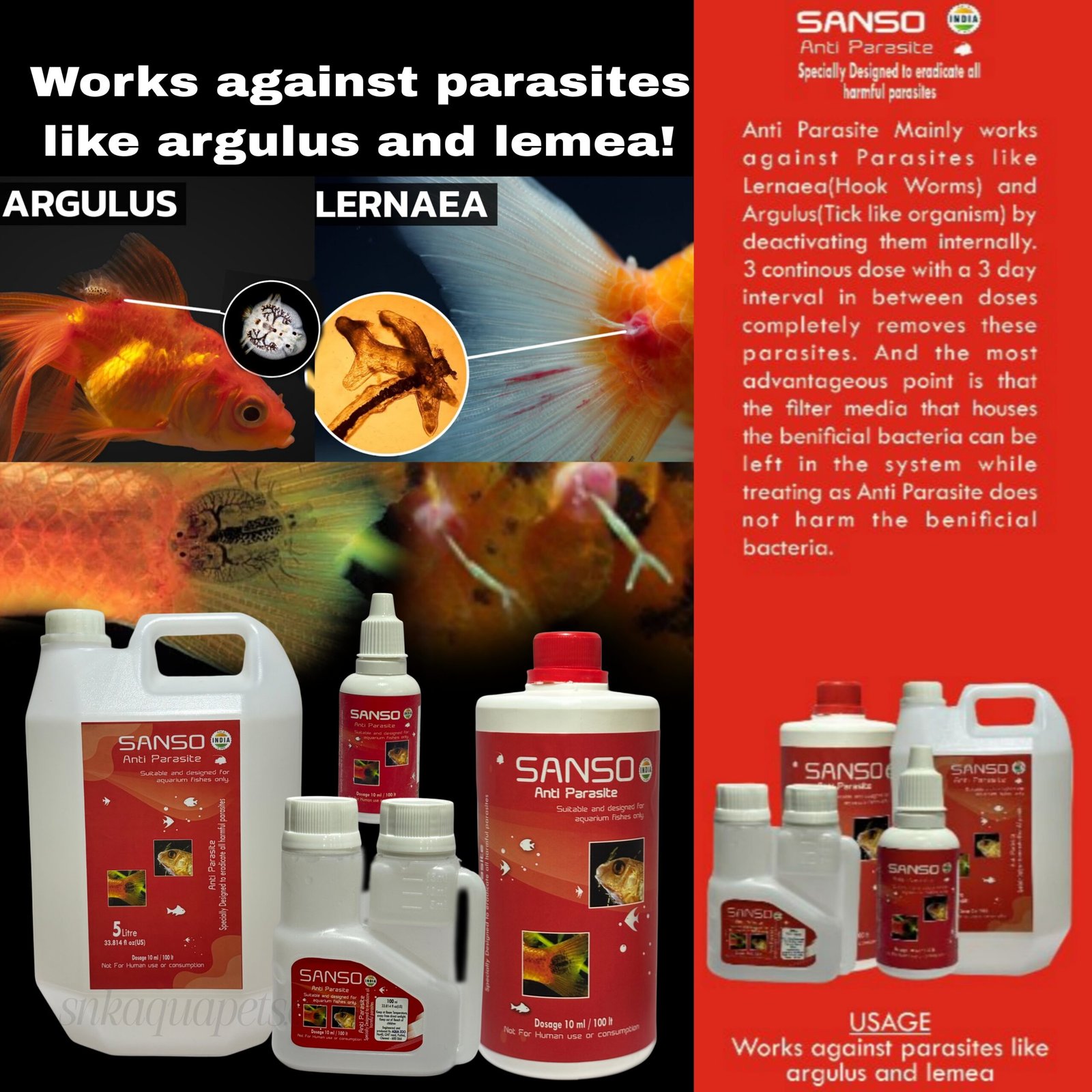 Picsart_25-12-24_18-45-21-772