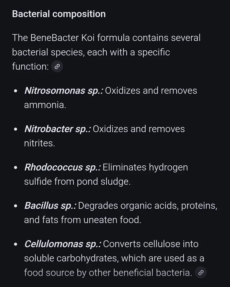 Screenshot_2025-10-05-00-53-16-831_com.google.android.googlequicksearchbox-edit