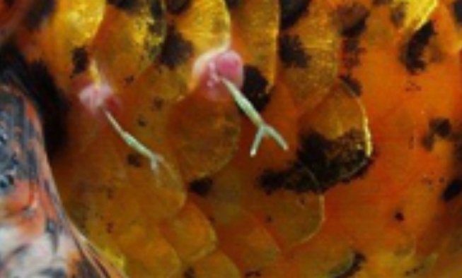 Screenshot_2025-12-24-17-59-30-936_com.google.android.googlequicksearchbox-edit