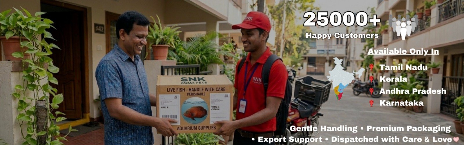 WhatsApp Image 2026-03-28 at 21.25.25 (1)