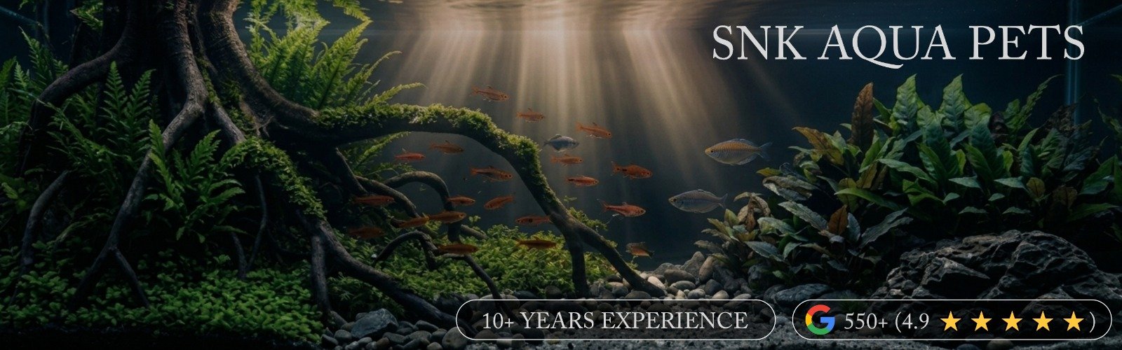 WhatsApp Image 2026-03-28 at 21.25.25